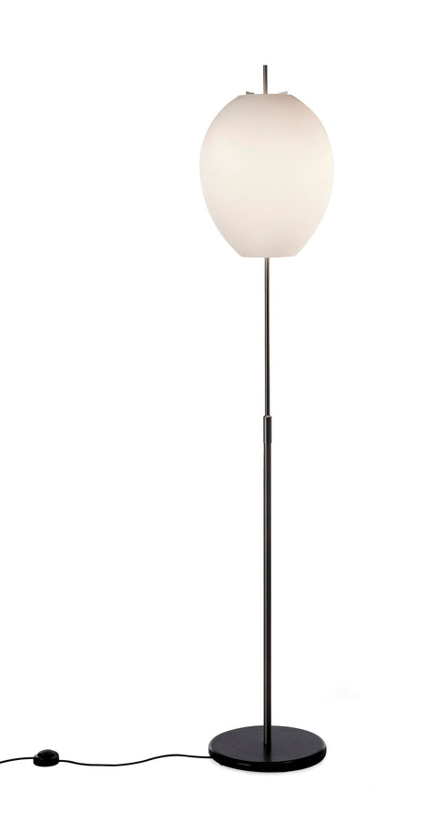 EGG Lattiavalaisin