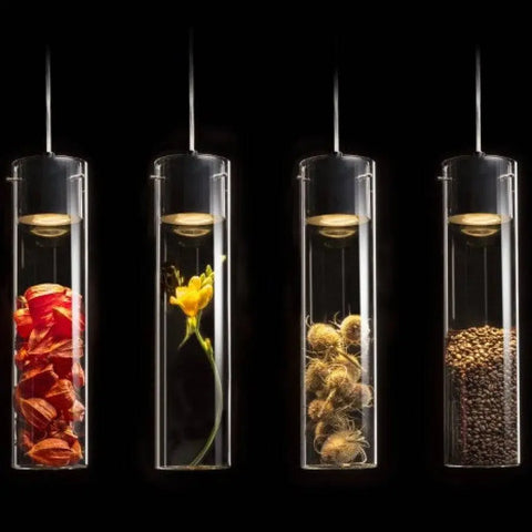GARNISH riippuvalaisin sisustettavalla kirkkaalla lasikuvulla ja kromiyksityiskohdilla – GARNISH valaisin, jossa on kirkas lasikupu ja krominen pidike, mahdollistaen valaisimen sisustamisen omilla esineillä.