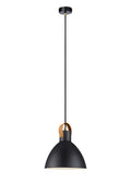 EAGLE Pendant 1L 22cm Black