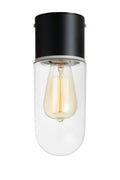 ZEN Ceiling 1L Black/Clear IP44