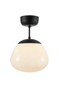 RISE Ceiling 1L White/Black